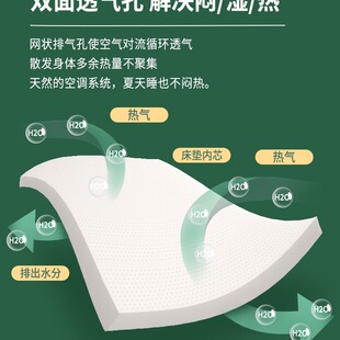 Top Ten Imported Thai Latex Mattress Brands, Natural Rubber Soft Cushion for Home Use, Student Dormitory, Single Bed, Bay Window