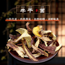 野生牛肝菌红葱切片干货红红见手青蘑菇云南特产批发优质风干