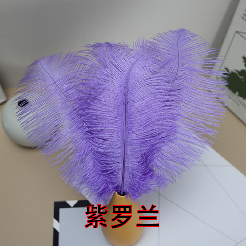 Plumas de avestruz bodas blancas de avestruz guía de plumas accesorios de fotos adornos rojo rosado en línea grandes plumas decoración
