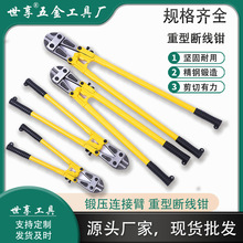 �ྀ�Q�t�f�Ͻ��䓽�������F�z�ƉĄ�����ʽ