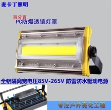 110V220VͶ ߲՘a ͉ß