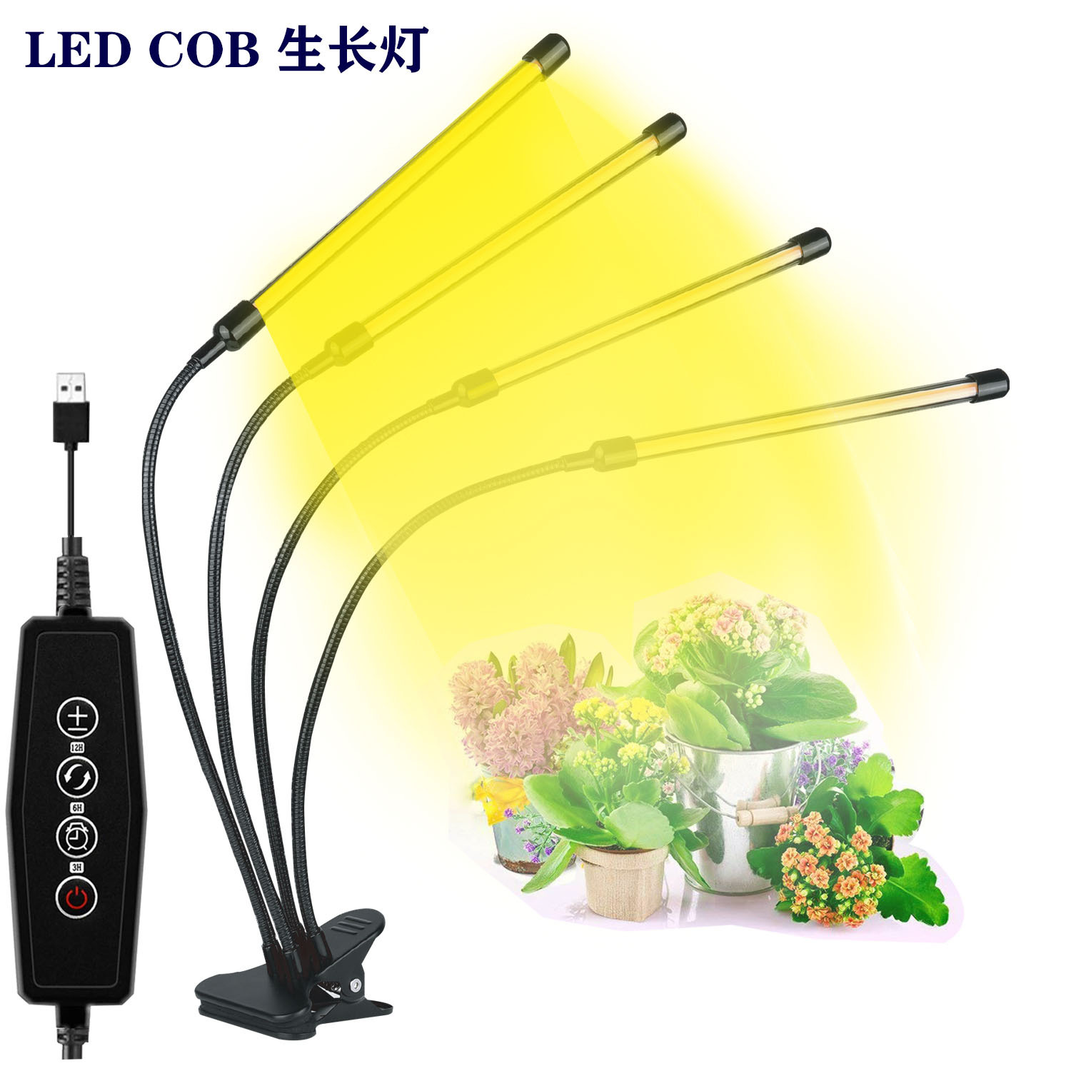 Light source