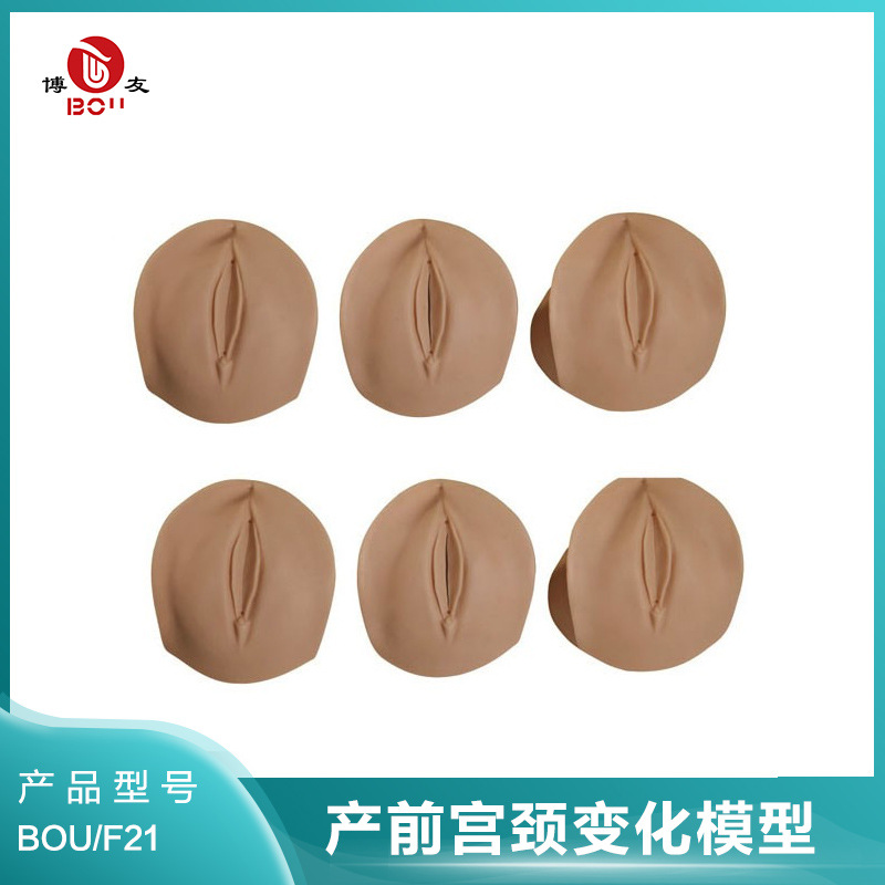 Boyou's Prenatal Cervical Changes and Birth Canal Relationship Model Cervical Examination Training Simulation Operation Demonstration Training