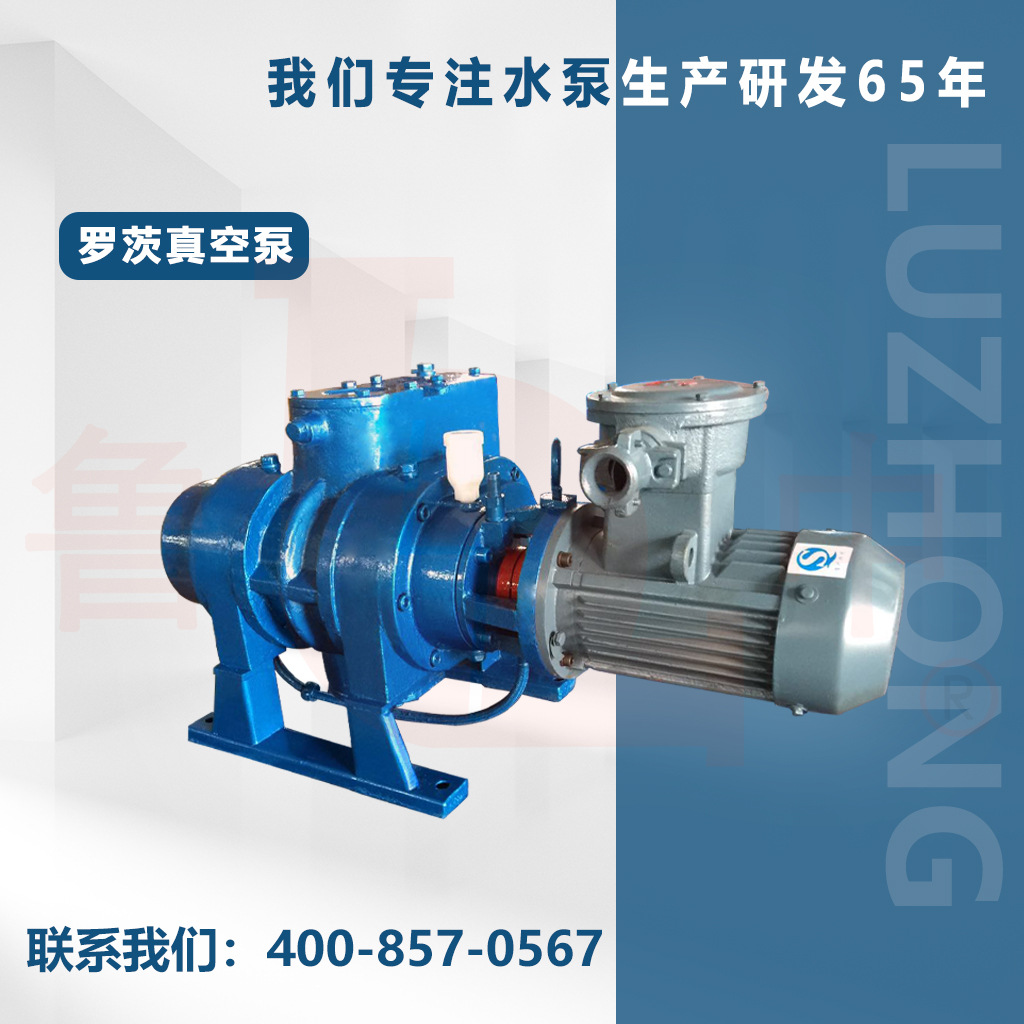 ZJ-150系列罗茨真空泵 配套罗茨真空泵机组 高效节能真空泵鲁中牌