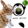 Douyin cross -border new product puts on penguin cat mint ball, wooden crickets, cat toy cats, add mint balls