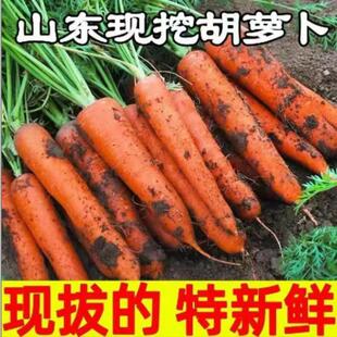 �F�ڬF�l���r���}�����r�߲���t���}������ˮ�������}�����l���]