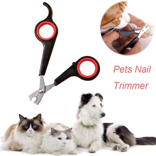 Pet Nail Trimmer for Small Dogs, Dog and Cat Pet Nail Clipper, Styling Stainless Steel Nail Scissors Supplies