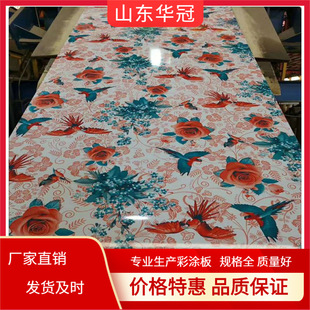 �͸��g��̼����߬F؛ ���栝����275g�ߏ���X�\�ʉT�� �����N��