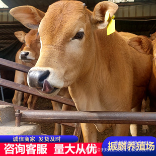 �����Sţ��ţ�كr�� ���������Sţ��ţ�����l����һ�^