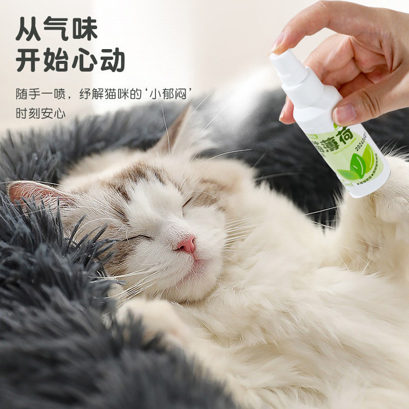 Spray de menta para gatos inductores de gatos agua feliz al por mayor spray de perfume de menta para gatos juguetes para gatos