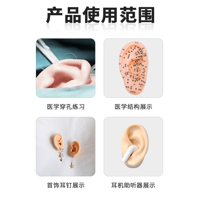 耳つぼモデル教育鍼灸耳偽耳穴モデルシリコン耳モデルシミュレーション耳