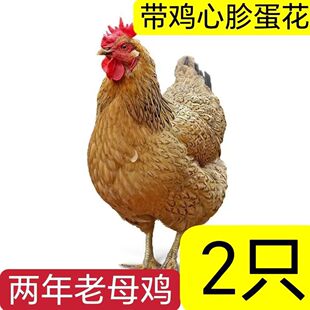 �r�ҬF����ĸ�u���r�u���u���u���u�ߵ��u���u���u