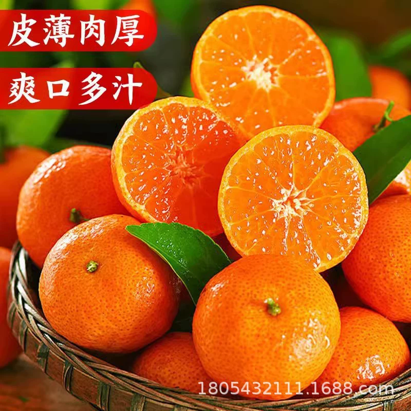Сахарный апельсин из Гуанси, целая коробка, свежие сезонные свежесобранные фрукты, сахарный апельсин без косточек, медовый апельсин, чистый сладкий