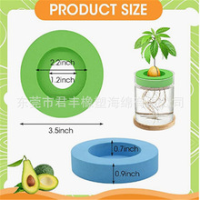 GɫEVA_ͺdвƿ廨AȦ֧޷Nֲevar|