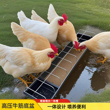 �uʳ���u���Z��ʳ���ˮ���ˮι��һ�w���B�u�ϲ�ɢ�B����ʳ��