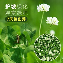 ���~�N�����Ӄ����ļ�����ƺ�N�G���������ͺ��_���^�p���N��