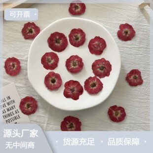 õ�廨���� diy���ϰ���֬���zˮ���[�����h�朰l������N�ֹ�