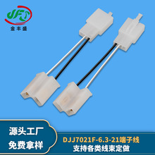 DJJ7021F-6.3-21 6.3ϵ2׶ Ħ綯