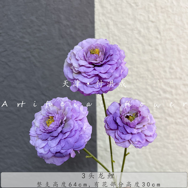 용의 잉어 3개 - 연한 보라색