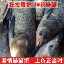 ��������D������I�D�ϴ����^���������F���~�D�ϴ�C�ό�����Ʒ