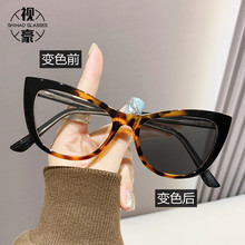 H22076��ɫè�۷������۾�ŷ����������TR90�ۿ���뵯�ɽű�ɫ��