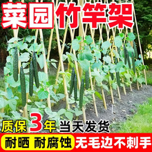 ������l��ʹ�ܲˈ@��Ͷ��Ǽ��S�ϼ����t�����Ѽ����������U