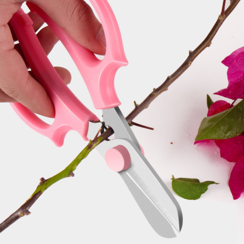 Lin Taizuo scissors, powerful gardening and floristry thin fruit pruning scissors, garden tools, garden greening scissors