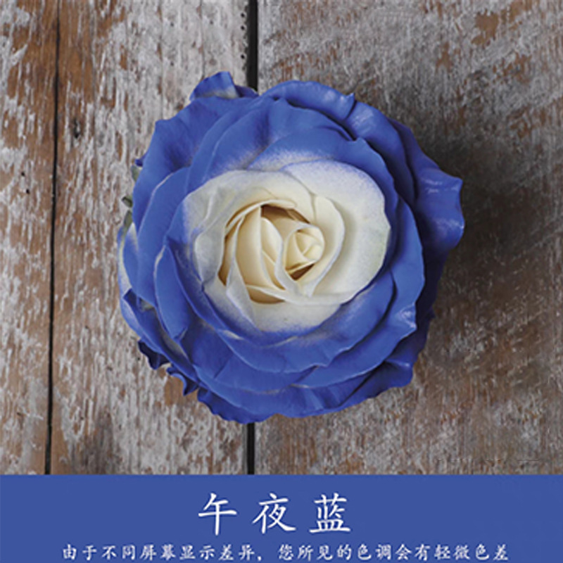 450ml agente de color de aerosol de flores al por mayor pintura en aerosol de secado rápido agente de teñido de rosas de color aerosol de color perlado floristería