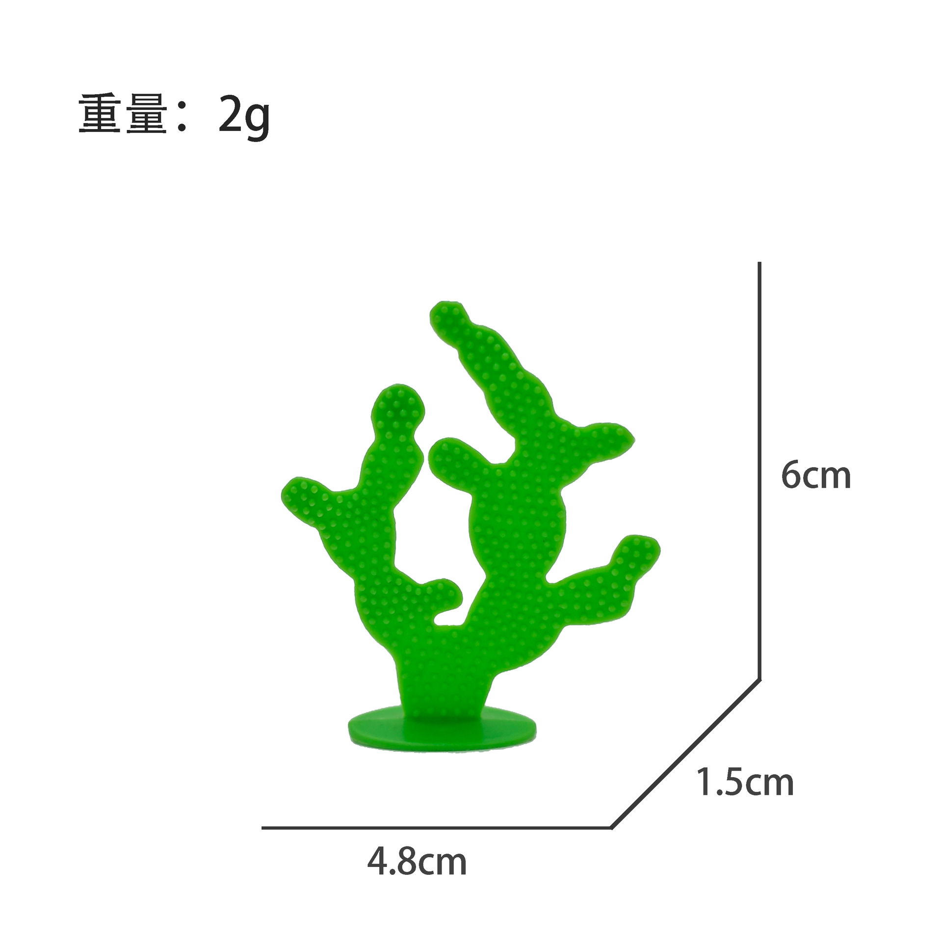 フラットサボテン 2g