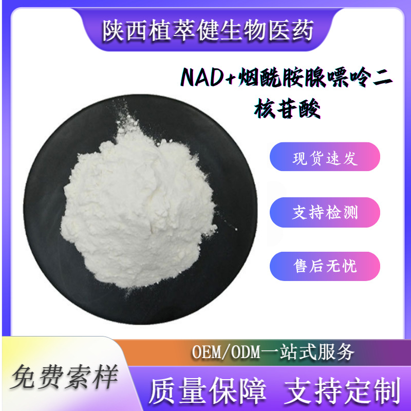 NAD+NAD食品原料烟酰胺腺嘌呤二核苷酸CAS号:53-84-9发酵粉现货