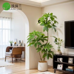 �Gֲ���~���p���҃ȿ͏d�ҕ����߅�b��W�L��ֲ������