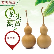 ���u���J���^�Lˮ��ˇƷС�[���ؔ��Ҿӎ������l���J���u���^