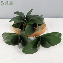 �}���S��ֱ�N��̖5Ƭ�����~�������ֲ�� �����m�~����ֲ��ӹ�