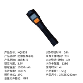 其他专用灯具;LED防爆手电;泛光灯