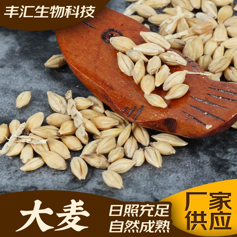 Производители на складе поставляют ячмень с оболочкой диетическое крупное зерно