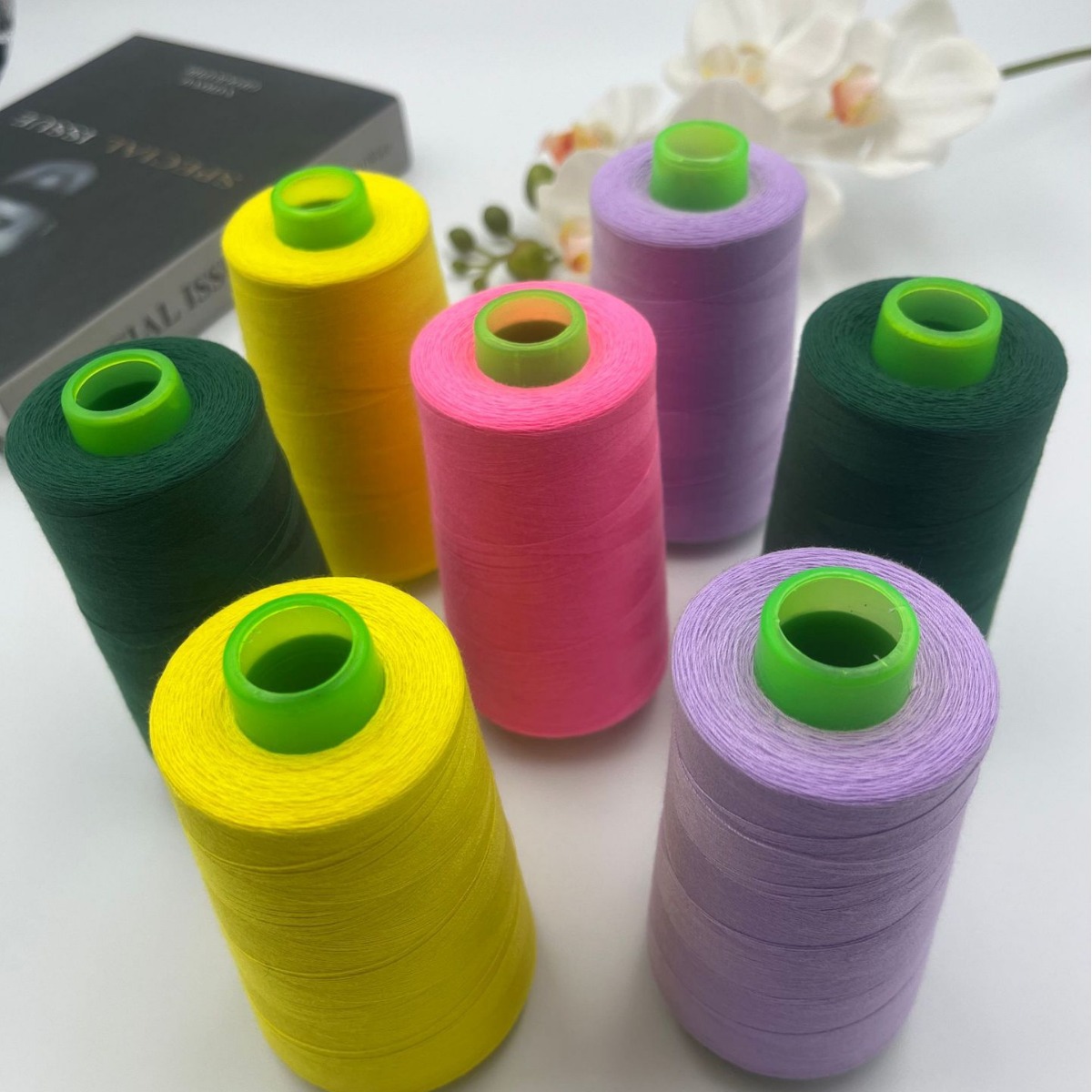 2024-02-26 09:16:34.jpg