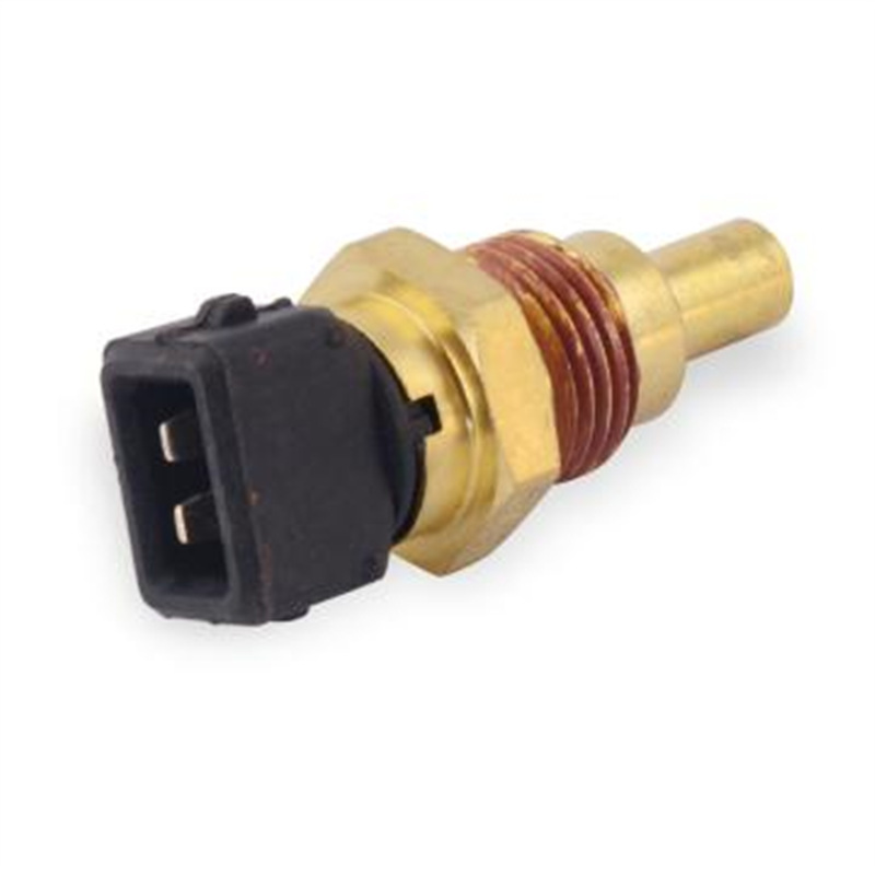 Sensor de temperatura del agua R60 - 7