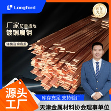 天津镀铜扁钢 防雷接地材料用铜包钢扁铁 厂家供应铜覆钢扁钢圆棒