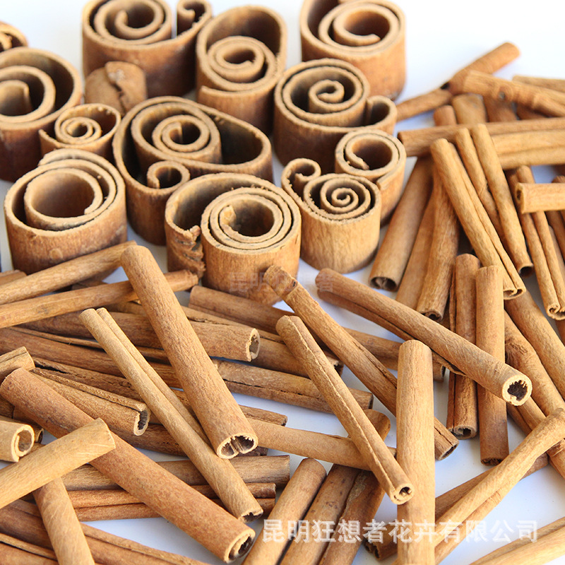 狂想者【精选装饰肉桂】无火香薰杯圣诞装饰肉桂烟桂diy手工材料