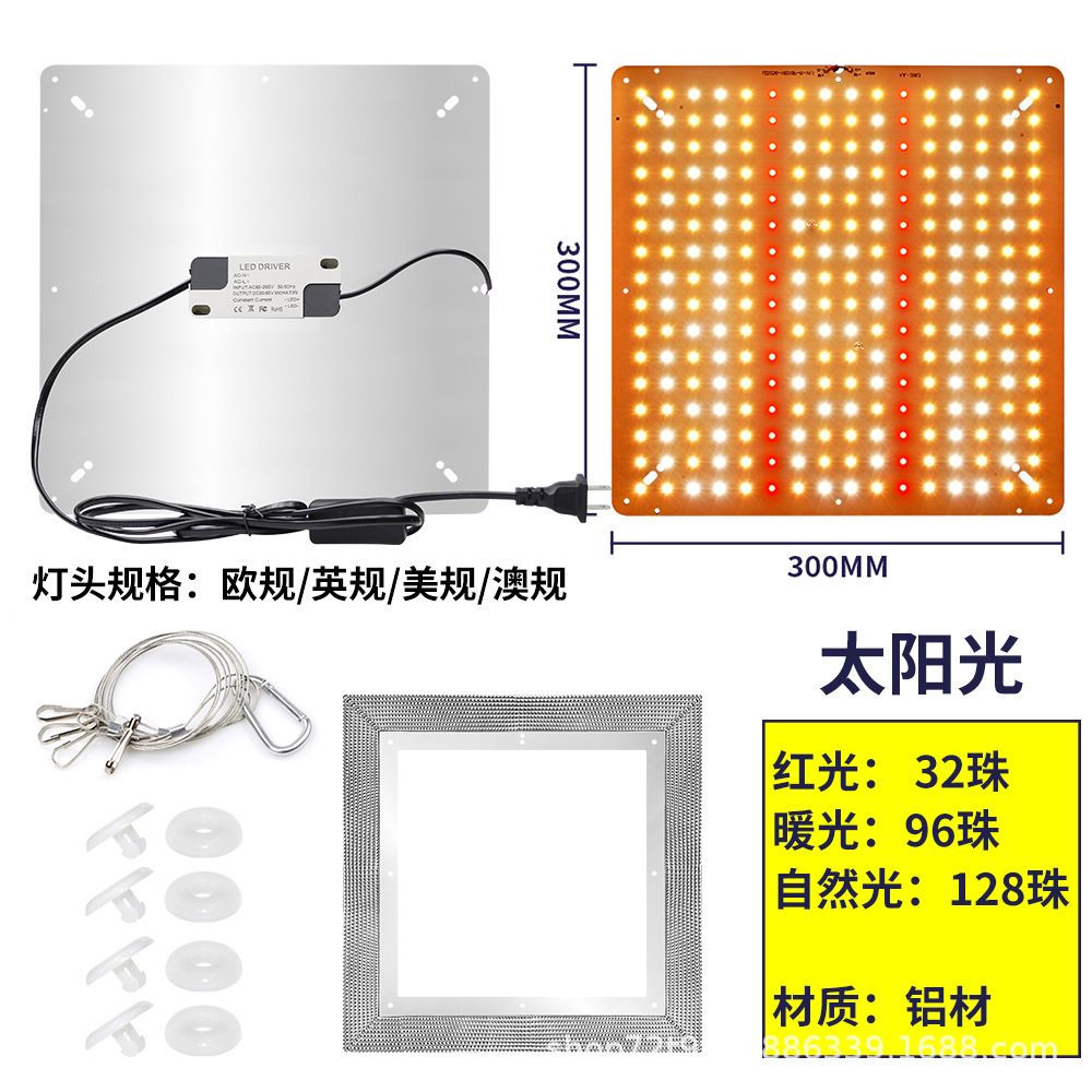 햇빛-미국 표준