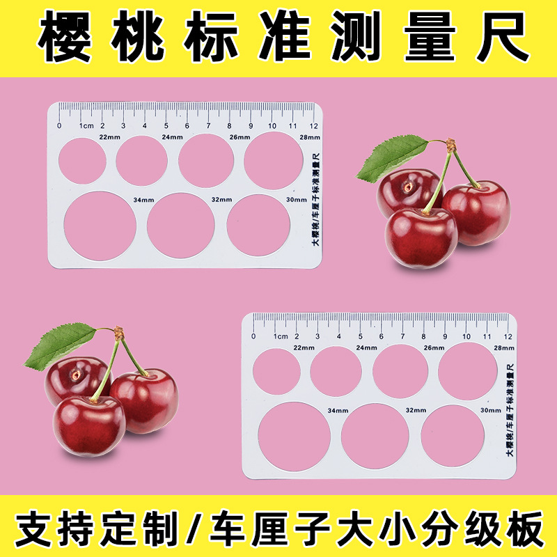 车厘子标准测量尺子果径卡尺鲜果分级樱桃蓝莓大小侧量工具尺