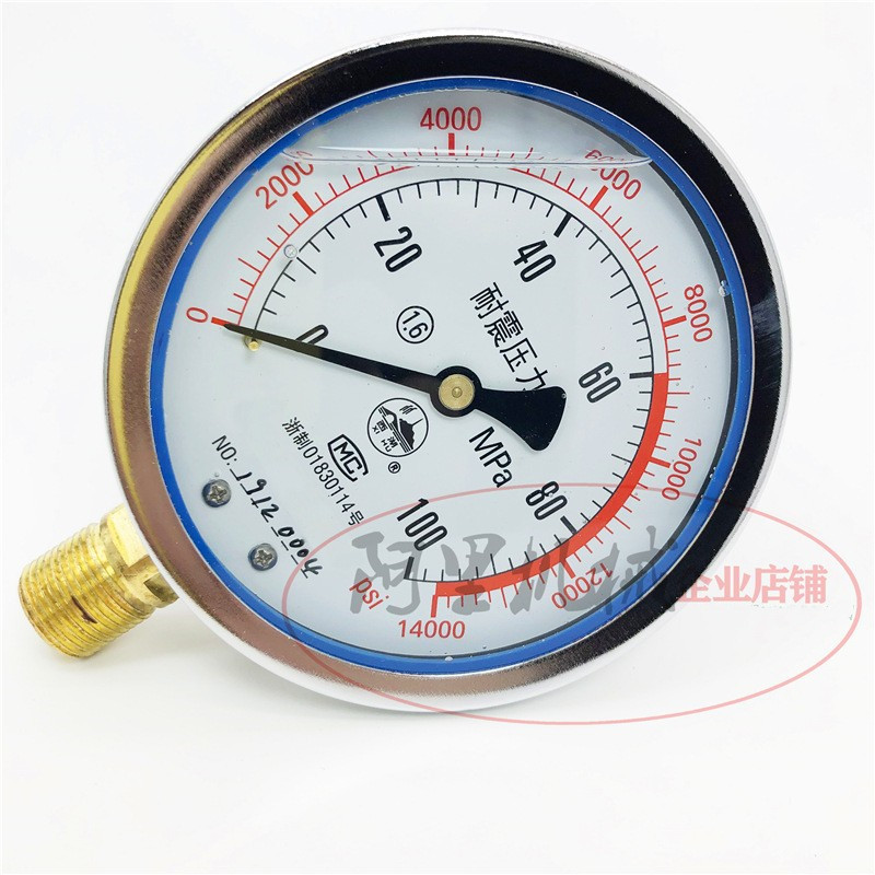 100MPa耐震压力表