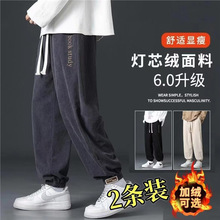 秋冬休闲裤男宽松哈伦束脚工装裤加绒长裤子字母刺绣休闲风裤