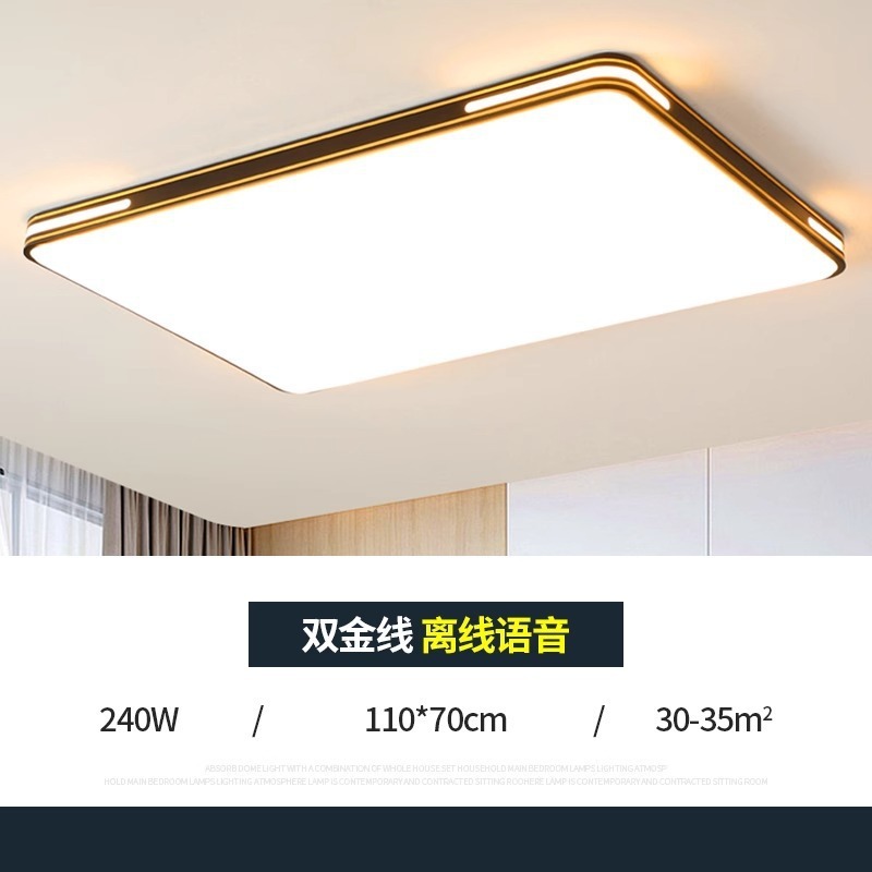 2025 新しい雰囲気のリビングルームランプモダンでシンプルな家全体の天井ランプ寝室レストランシャンデリア中山照明器具|undefined