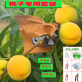 �S���״���ˮ���Ҵ���涬�����������״���ҷ���ˮʯ��ˮ���״�