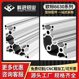厂家欧标6630L/6630R 系列工业铝型材铝型材型材设备框架型材