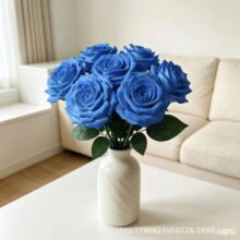 �����մ�õ�廨��c�bٻ��羳��������õ�����˹��{ɫ�������l