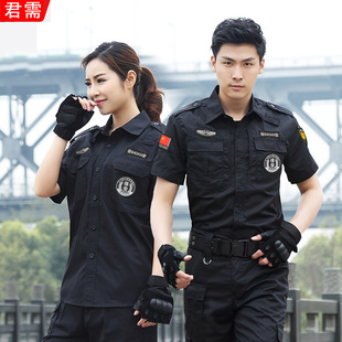 511����Ʒ����������b���ļ�������Ӗ����Ӗ�������z��ɫ�L��