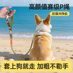 犬用リード一体型PロープPチェーン小型犬・中型犬用耐衝撃外出用犬用リードペット用リード