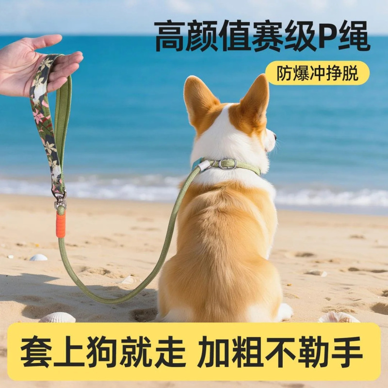 犬用リード一体型PロープPチェーン小型犬・中型犬用耐衝撃外出用犬用リードペット用リード|undefined